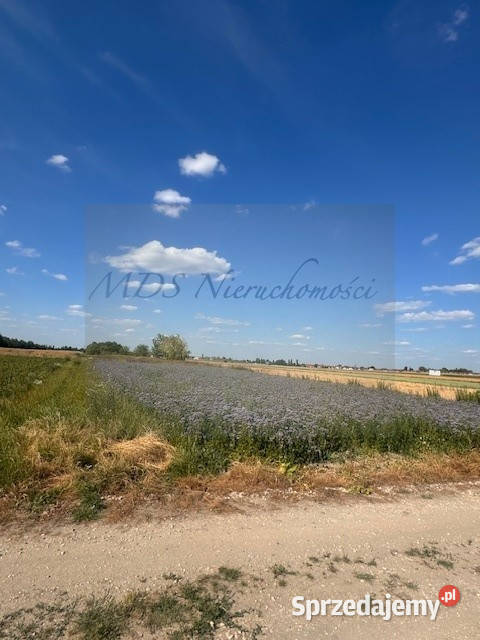 działka pod domy wolnostojące media Sprzedaż mazowieckie sprzedam