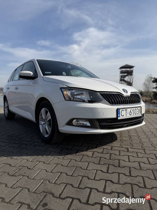 Skoda Fabia III elektryczne lusterka Kutno
