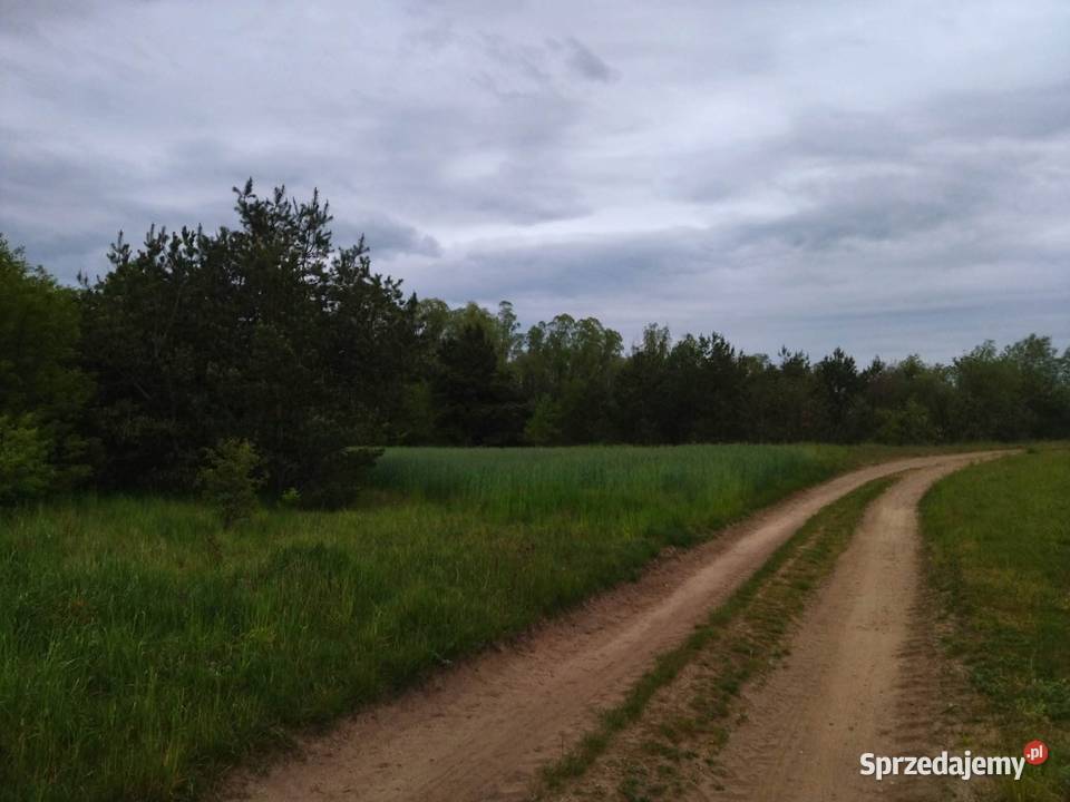 Działka budowlana dostępem do drogi Sprzedaż Świerczyna