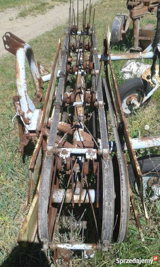 Przetrząsacz taśmowy Radom