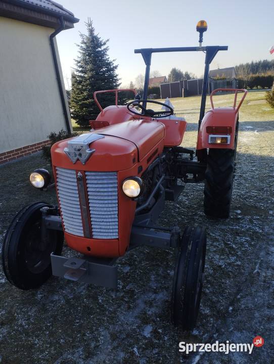 Ciągnik rolniczy Massey Ferguson 30 zachodniopomorskie Myślibórz