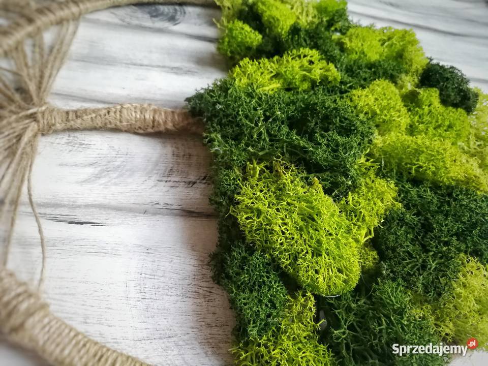 Makramowe drzewo z chrobotkiem łapacz snów śląskie Częstochowa