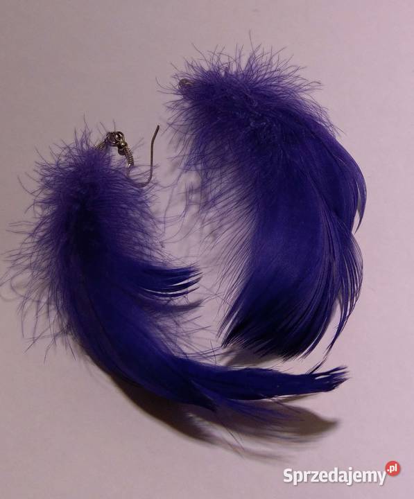 Fioletowe kolczyki pióra piórko pióro wysyłka Kolczyki mazowieckie Warszawa