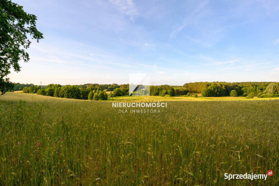 Kameralne działki budowlane w Kłodawie 1725 ar Kłodawa