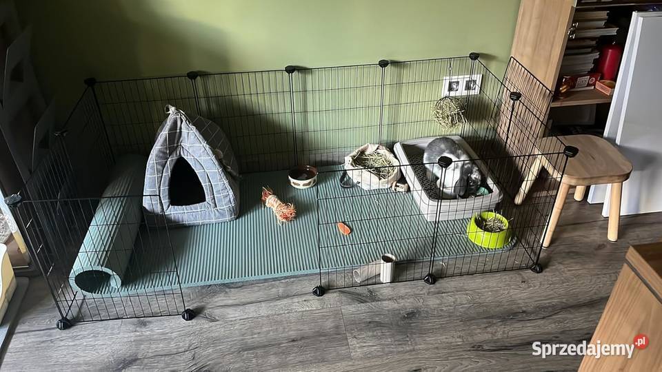 Stylowy wybieg królika kojec gryzoni czarny mat Jutrosin sprzedam