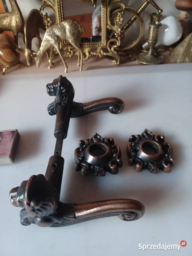 Komplet piekne klamki z głową lwa i szyldy Poznań