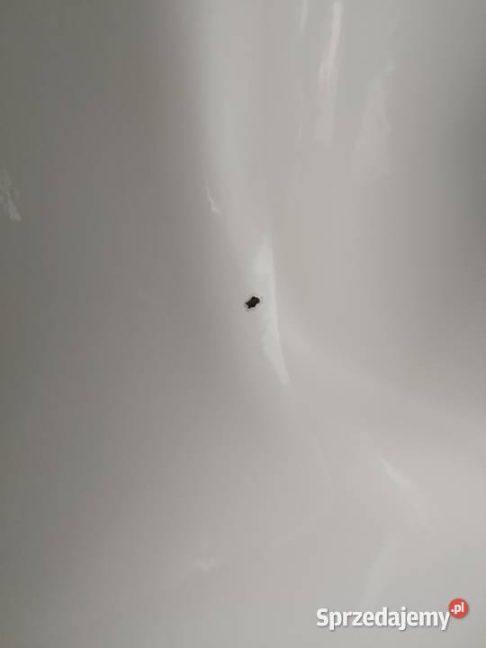 Wanna Kaldewei Classic Duo 170x70 USZKODZONA Warszawa