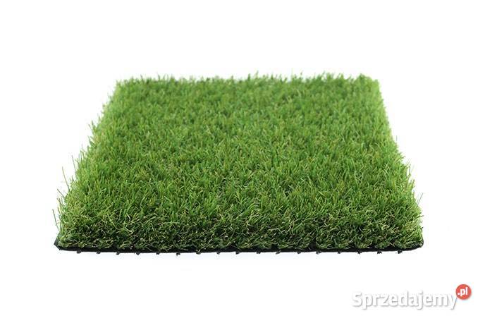 Trawa ogród piękny trawnik sztuczna trawa dolnośląskie Wrocław