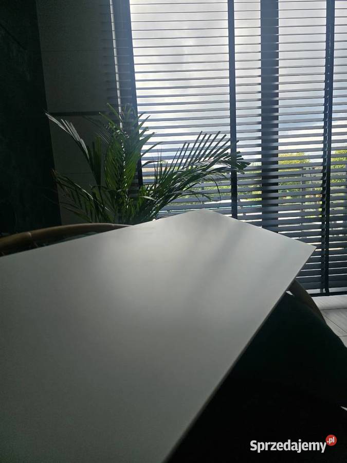 Płytka OLYMP WHITE MATT 40x120 CERSANIT GAT I łódzkie Opoczno