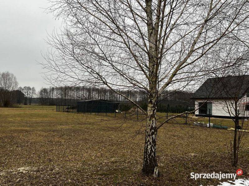 Piękna działka j Białe 300 m Sprzedaż