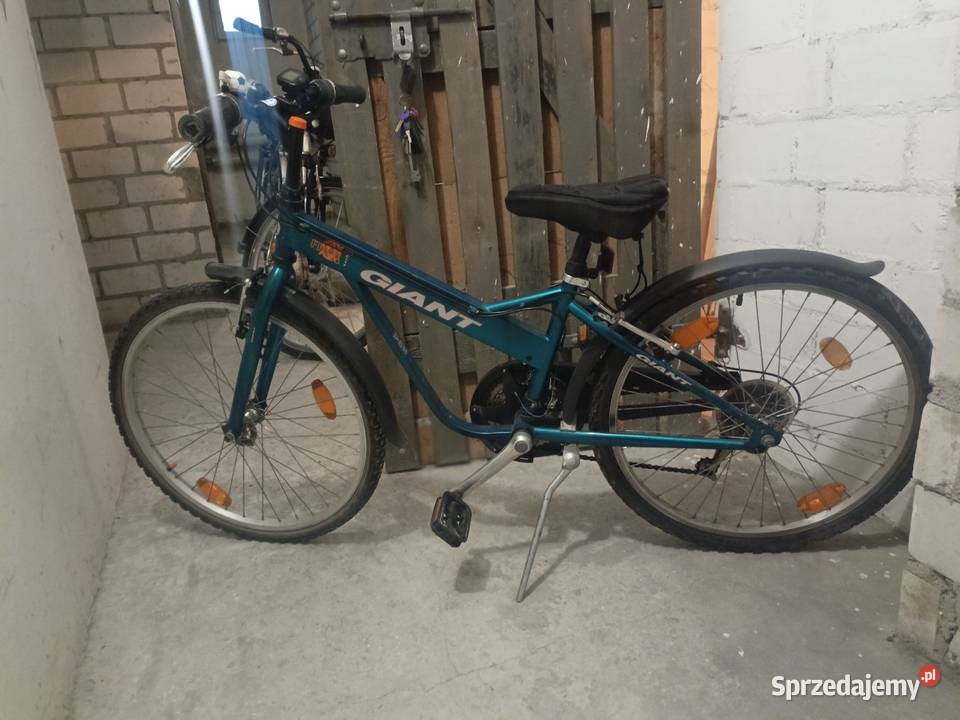 Rower Giant Koło