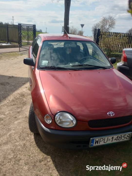 Toyota Corolla Mierzęcin