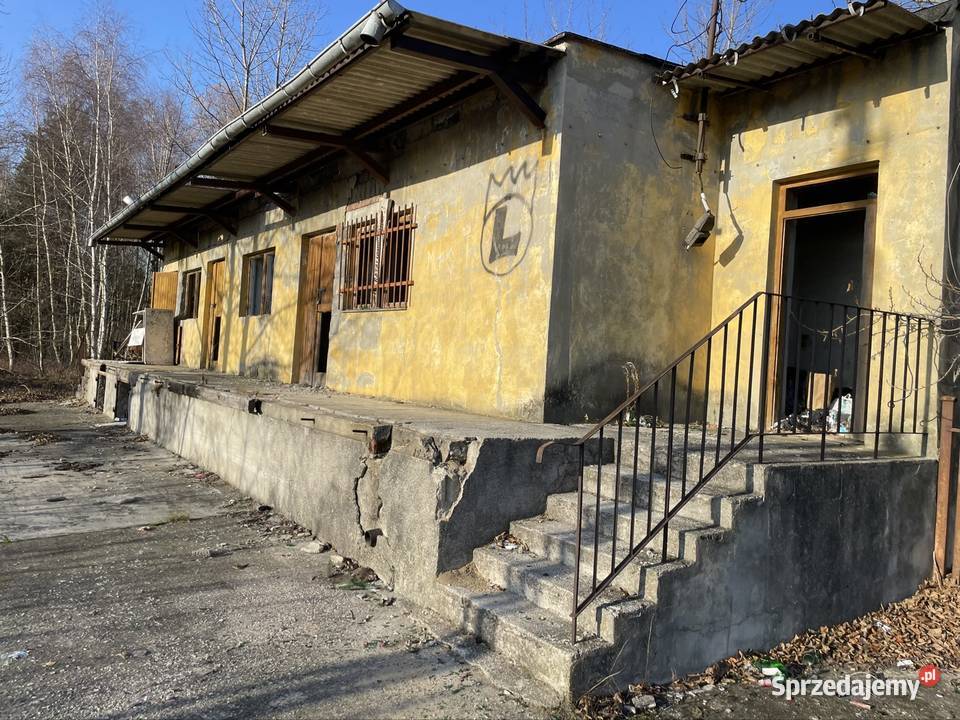 Budynek usługowy zlewnia mleka 96zł/m2 Nieruchomości mazowieckie