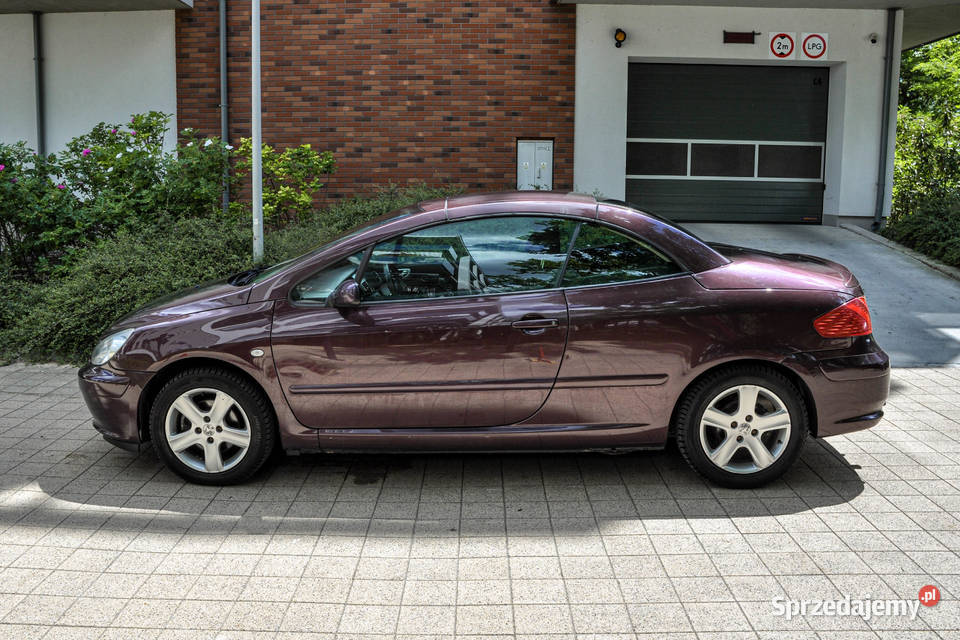 Peugeot 307 20 138 Bezwypadkowy 307 sprzedam