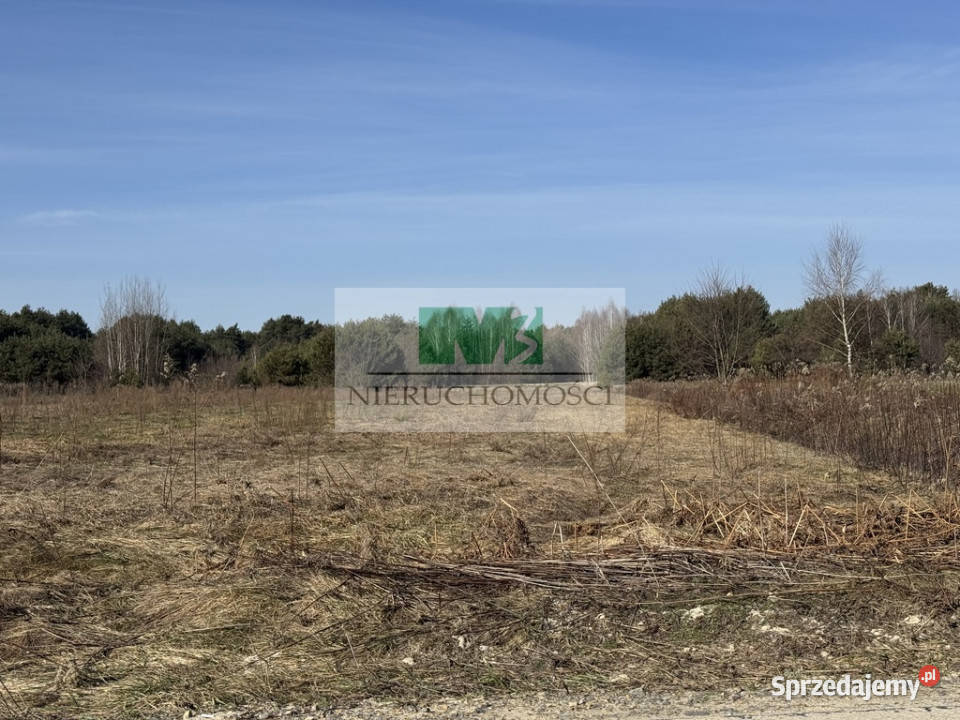DO SPRZEDAŻY DZIAŁKA W JELNEJ OSIEDLE BORKI asfalt Jelna