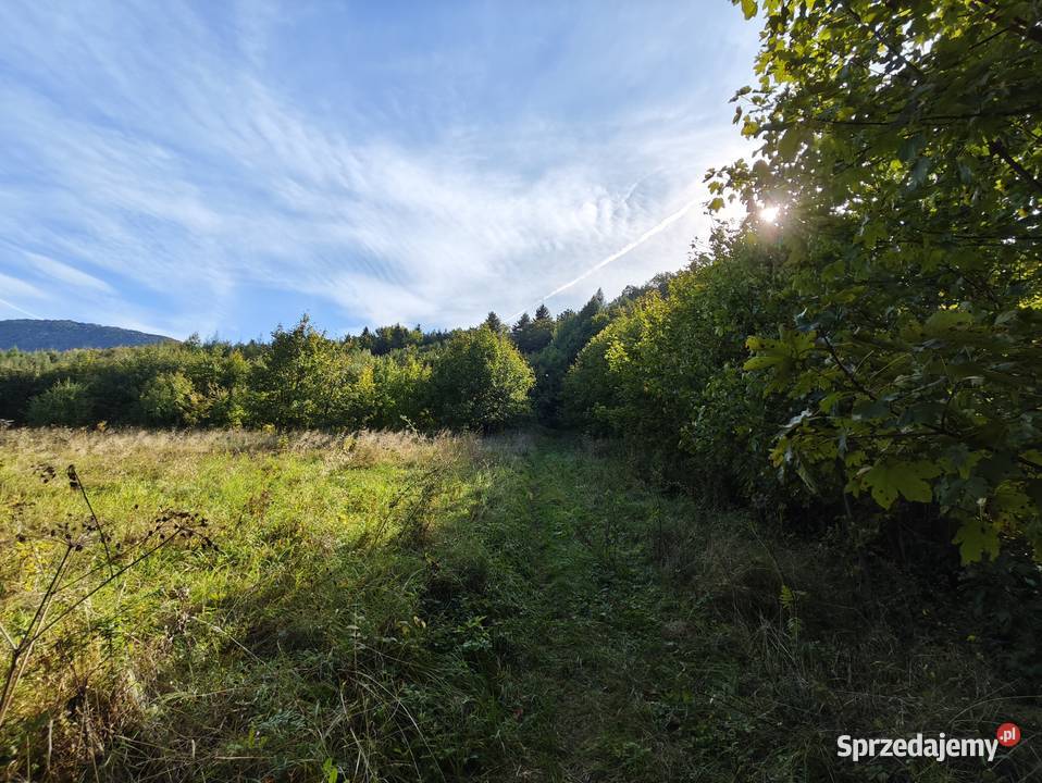Działka leśnorekreacyjna 3 194 m Cergowa gm podkarpackie