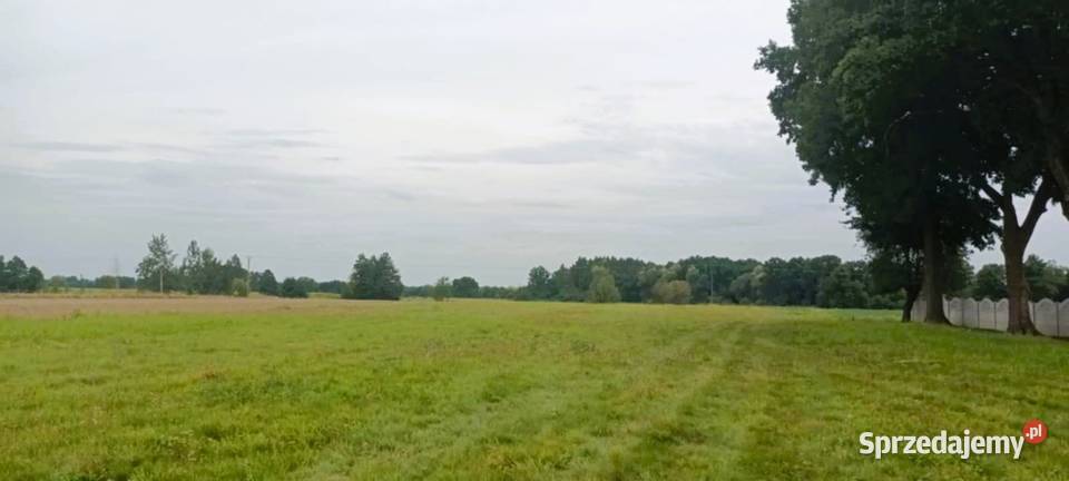 Działka pod 9 domów z WZ Brzezie Trzebnica sprzedam