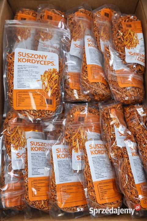 Kordyceps suszony Cordyceps 100g Maczużnik Pozostałe lubelskie Lublin
