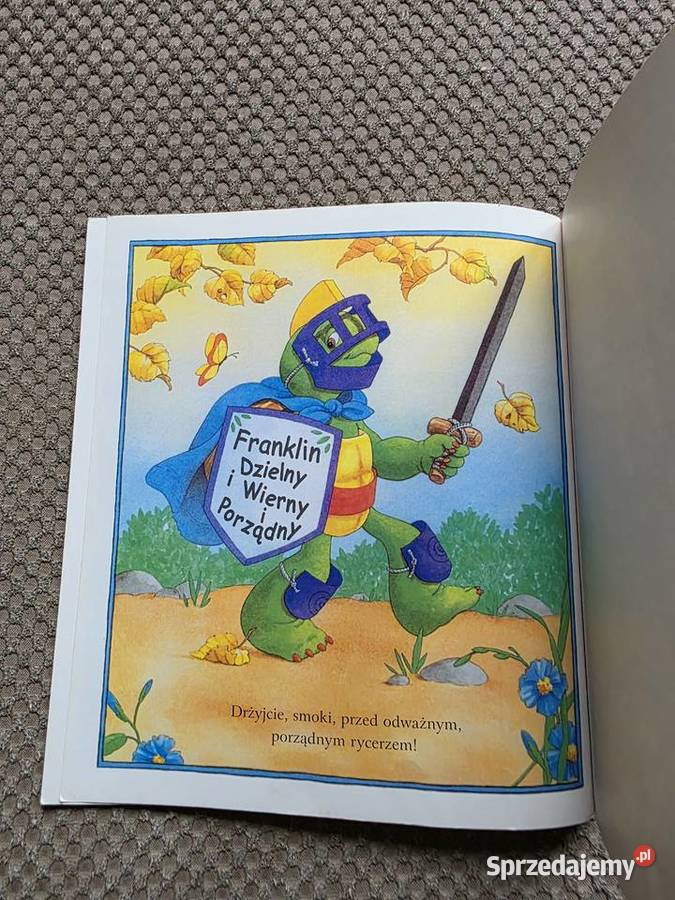 Franklin mały bałaganiarz małopolskie Kraków