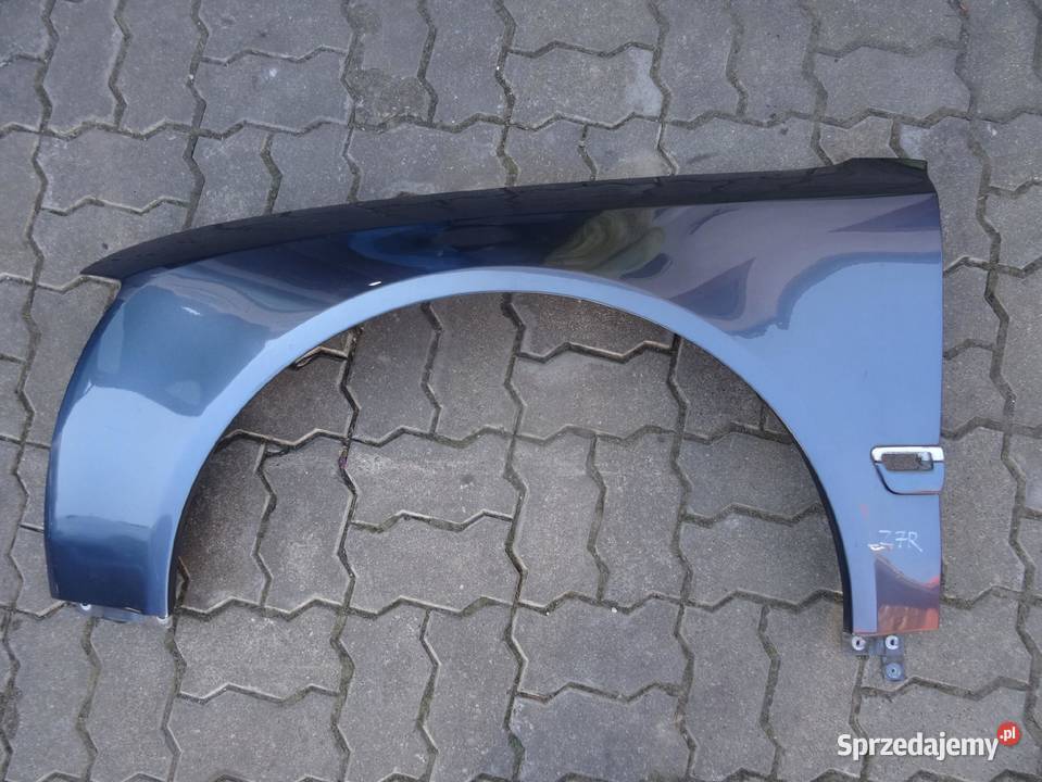 AUDI A8 D3 0307 BLOTNIK LEWY PRZOD LZ7R Błotniki Przemęt