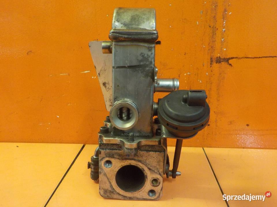 AUDI Q7 TOUAREG 30 TDI 10r CAS chlodnica EGR mazowieckie Suków sprzedam