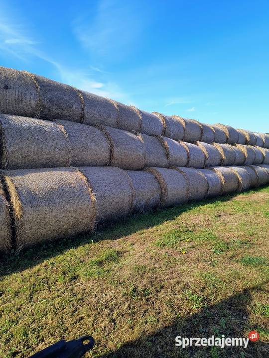Sprzedam słomę pszenną Trawy, słoma Modlibórz sprzedam