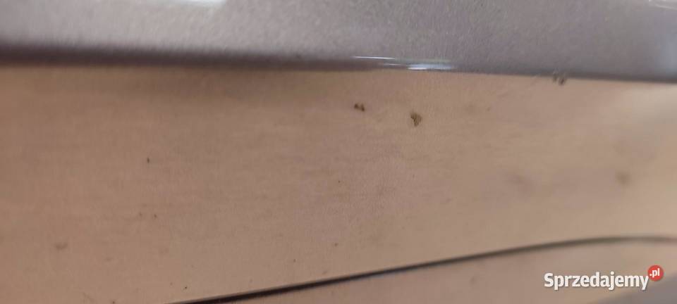 CUPRA FORMENTOR DRZWI LEWY TYŁ LS7H 5FF833051A dolnośląskie