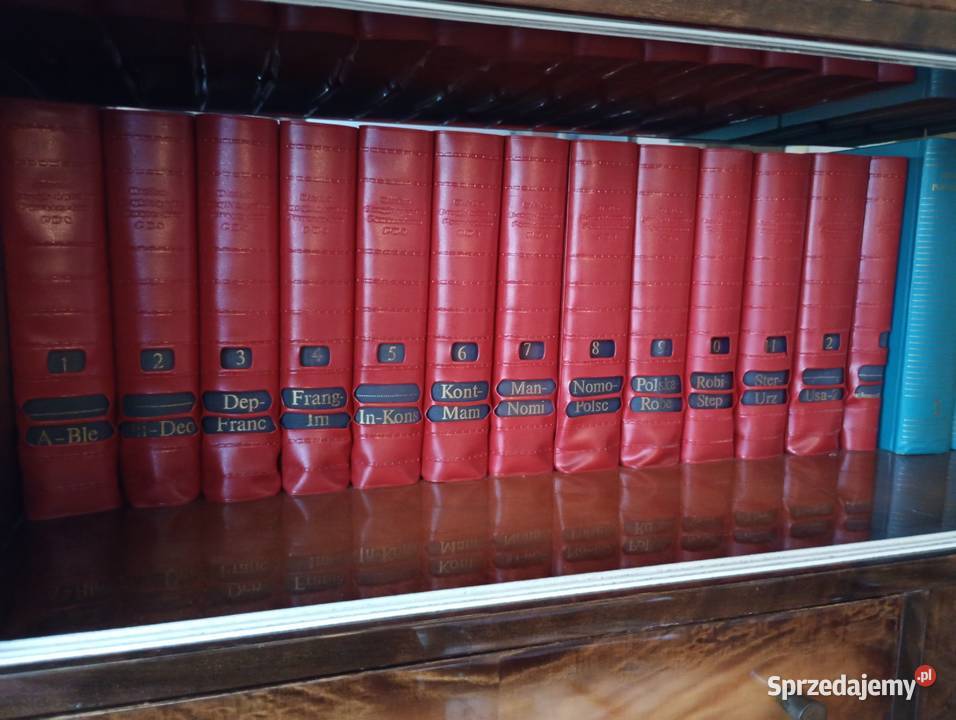 Encyklopedia PWN 1962r encyklopedie, słowniki, leksykony Ostrów Wielkopolski