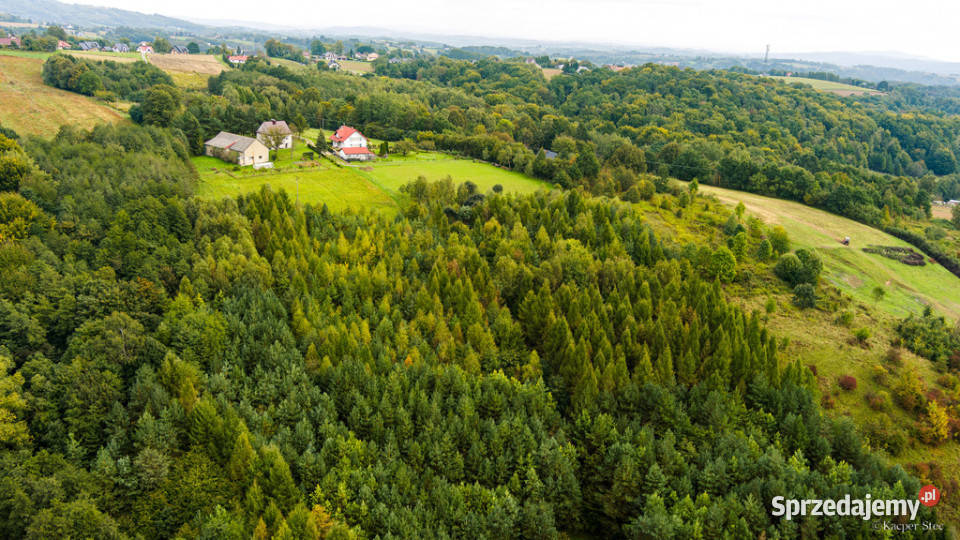 Na sprzedaż działka w Zalasowej małopolskie