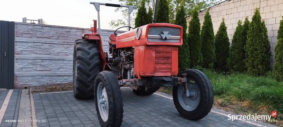 Ciągnik rolniczy MF 165 Massey Ferguson Massey Ferguson Szydłowiec