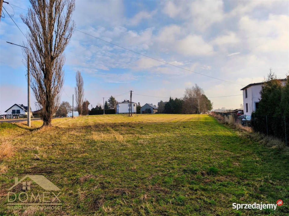 Grunt 2443 metry Gorzyce