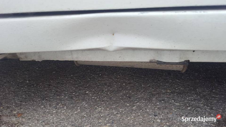 Renault Trafic wielkopolskie Manieczki