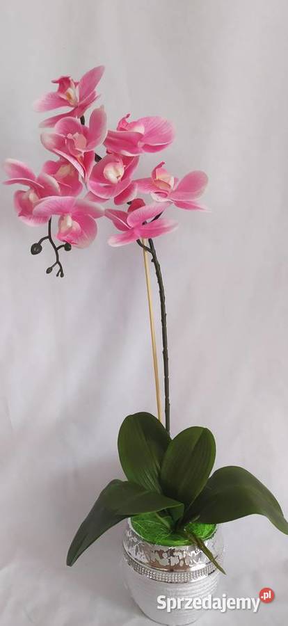 Storczyk sztuczny kompozycja kwiatowa wielokolorowy Dekoracje i ozdoby Sędziszów Małopolski sprzedam