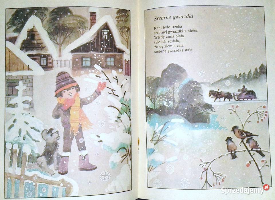 Srebrne gwiazdki Ewa SzelburgZarembina Chełm sprzedam