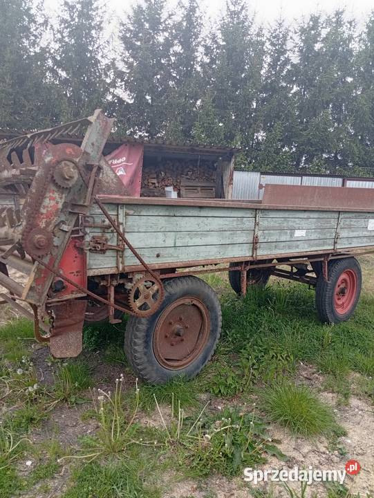 Rozrzutnik przyczepa 2w1 Gościejewo