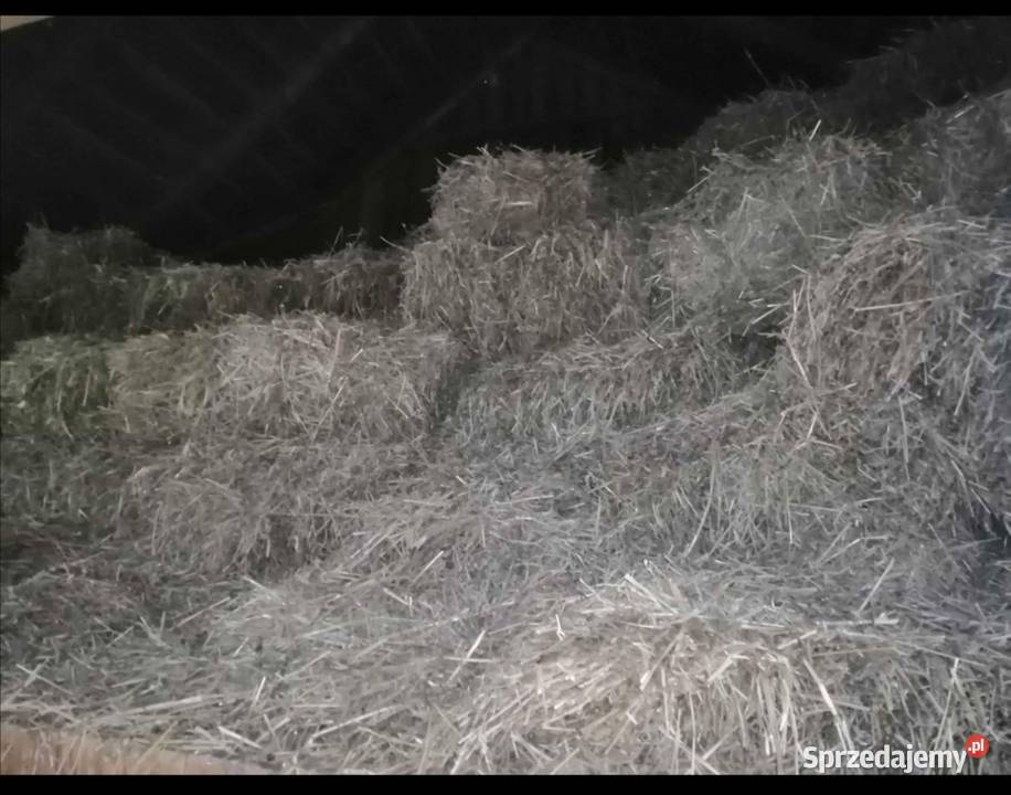 Sprzedam siano i słomę Rozbórz Okrągły
