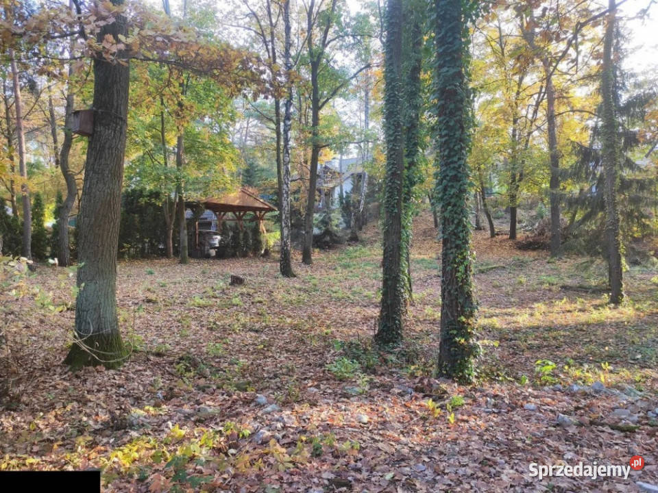 Łomianki Dąbrowa Leśna działka 1500m2 sprzedam