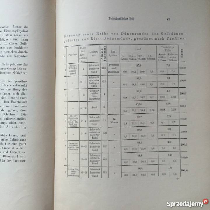 877 Geologischen Karte Szczecin