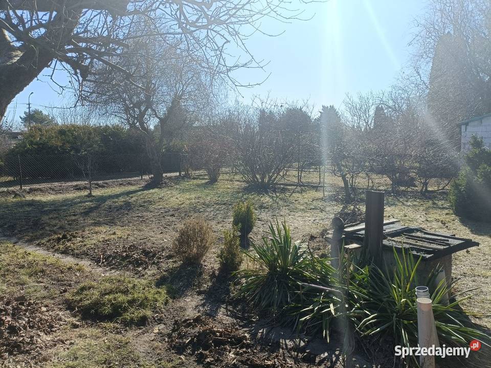 Działka ROD Paluch Miejski Warszawa