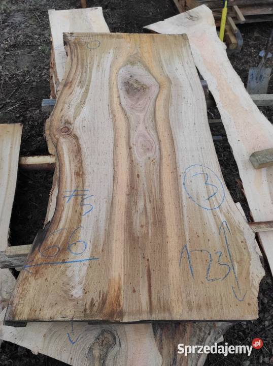 Monolit 124x5080x5 dąb stolik kawowy blat oak Pozostałe Przysucha
