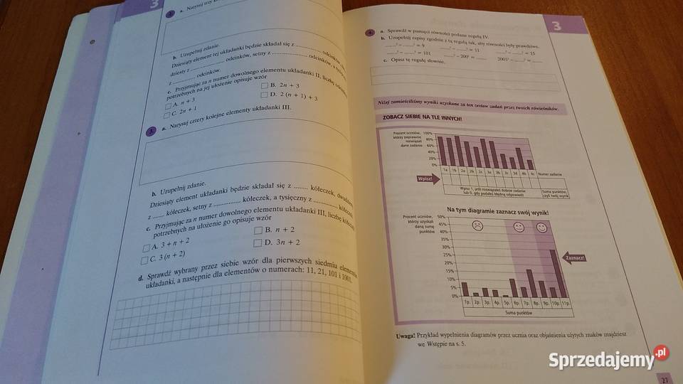 Powtórka przed sprawdzianem szkole podstawowej Rok wydania 2004 pomorskie Gdańsk