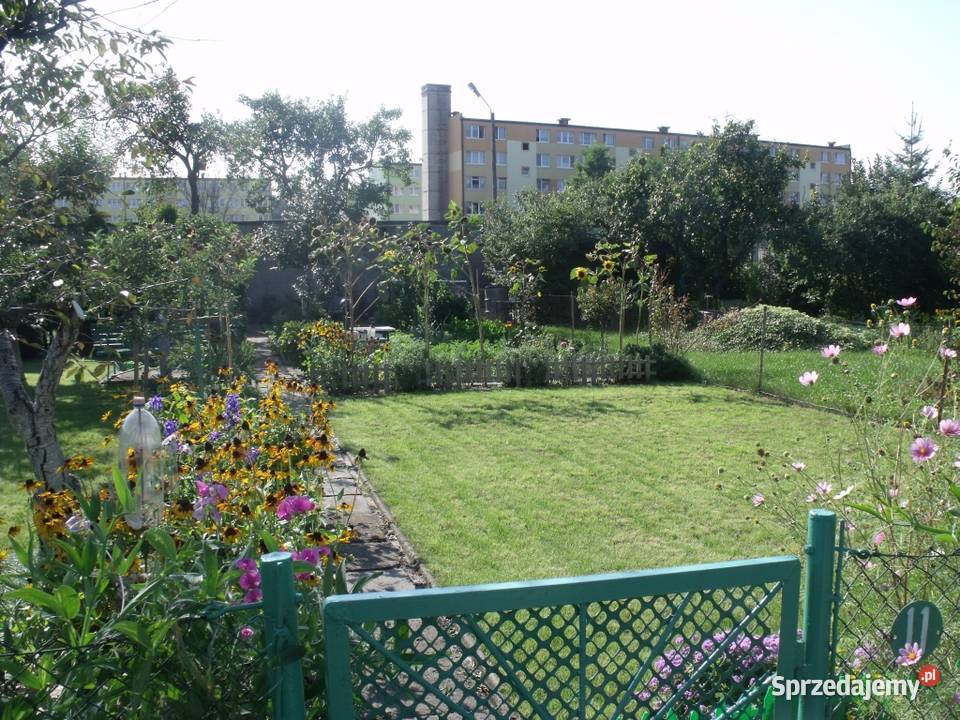 Sprzedam dzialke rekreacyjna ROD Zacisze rekreacyjna