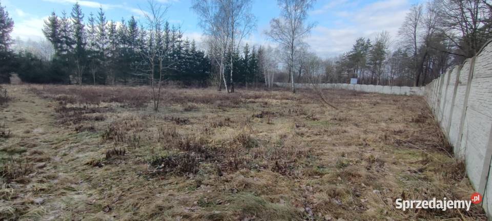 Wynajmę działkę rolną budowlaną ogrodzoną 3900 podlaskie Elżbiecin