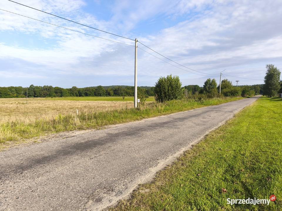Z dala spojrzeń sąsiadów 3001m2 Chocielewko