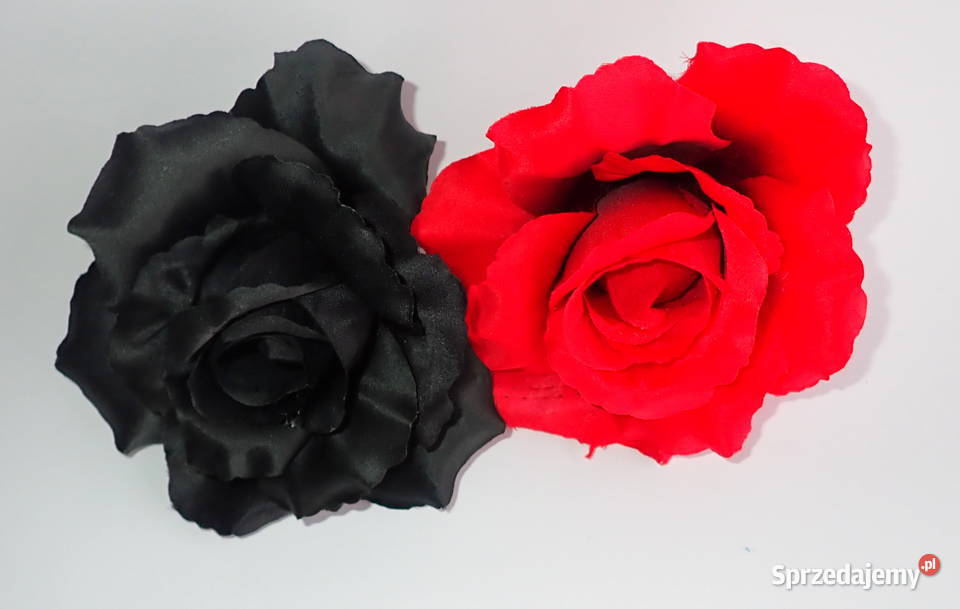 Róże rozwinięte różne kolory 1 śred 13 F004