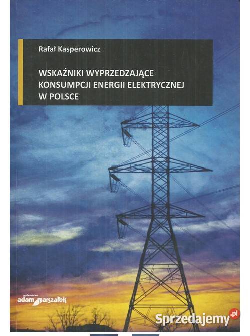Wskaźniki wyprzedzające konsumpcji energii łódzkie Łódź