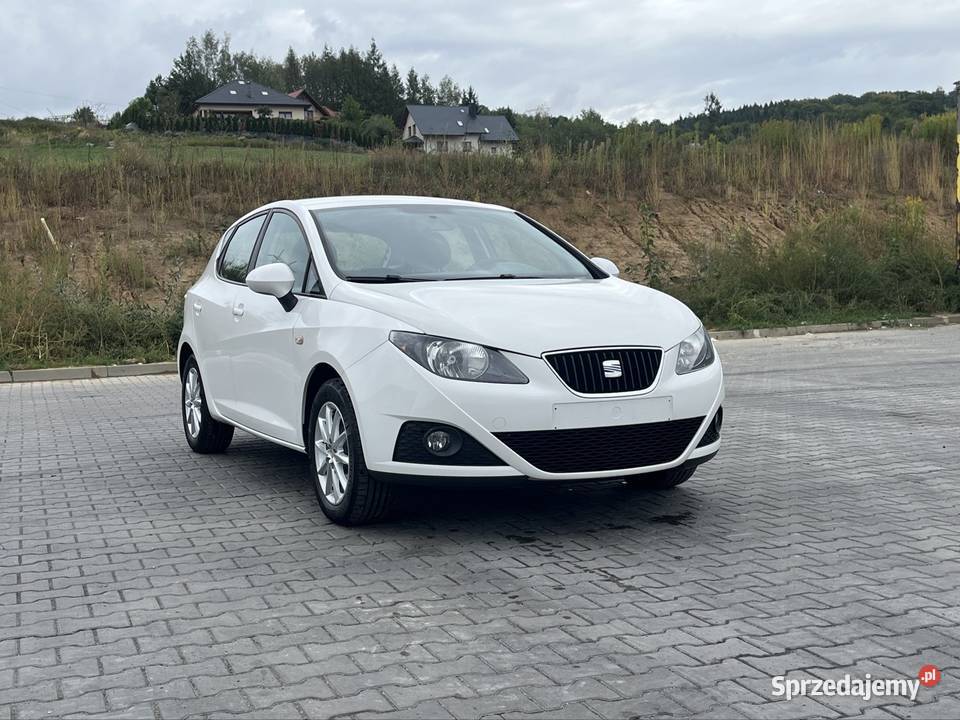 Seat Ibiza 2011 14 MPI benzyna Babica