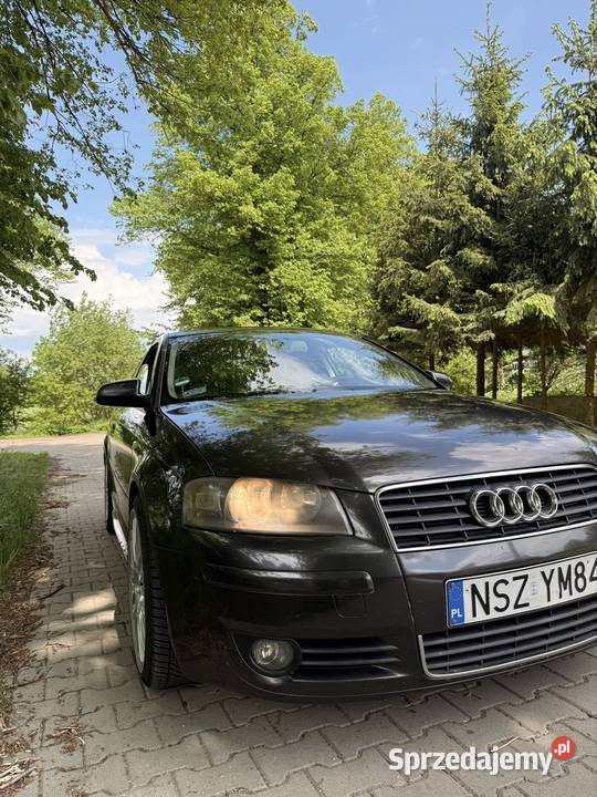 Audi a3 8p 2003 2/3 Mrągowo