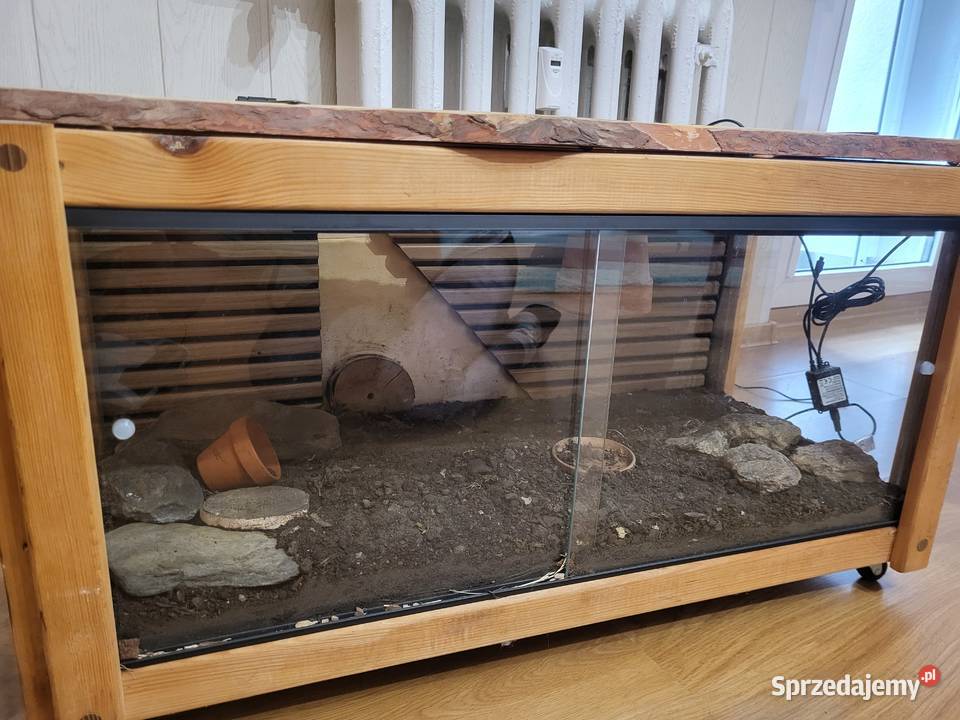 Terrarium opolskie Opole