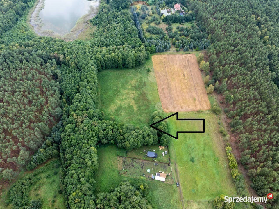 Działka budowlana Pąchy z DWZ2 domy